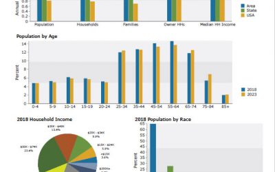 Using Demographics in Business Brokerage